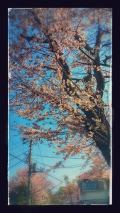 20150331_090142-EFFECTS