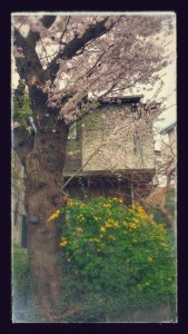 20150403_103553-EFFECTS