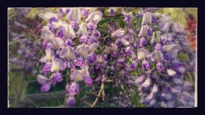 20150424_144511-EFFECTS