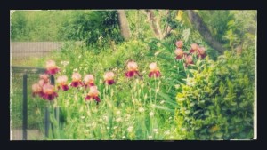 20150429_101801-EFFECTS