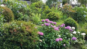 13413521_1160822030607864_3444403647779902574_n